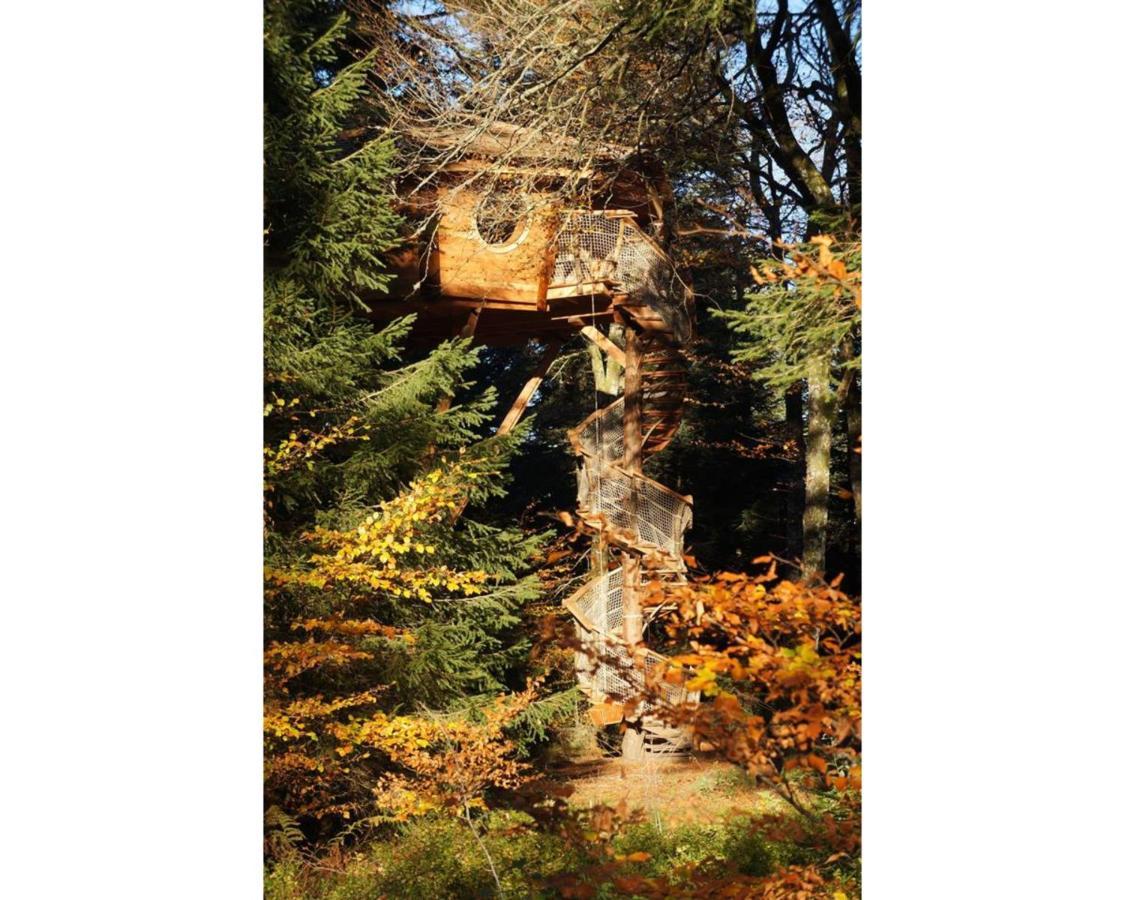 Cabanes Des Volcans La Tour-dʼAuvergne Exteriér fotografie