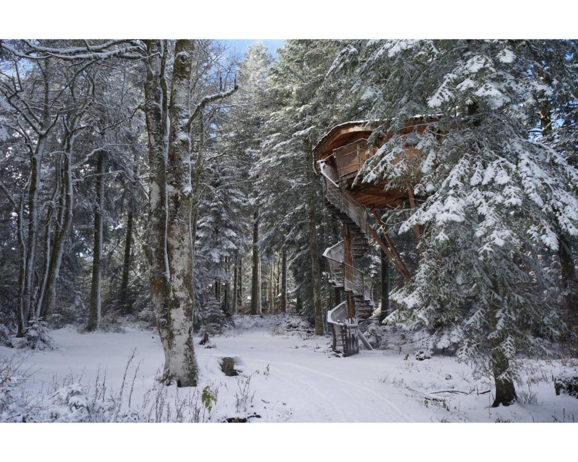 Cabanes Des Volcans La Tour-dʼAuvergne Exteriér fotografie